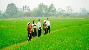 Bảo hiểm giúp giảm gánh nặng tài chính cho cả người dân và ngân sách quốc gia.