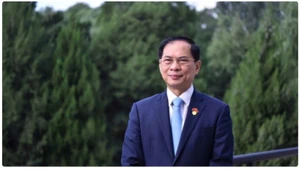 Bộ trưởng Bùi Thanh Sơn.