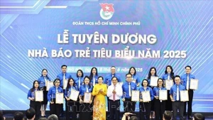 Đồng chí Bùi Thanh Sơn trao chứng nhận và biểu trưng của Đoàn Thanh niên Chính phủ cho nhà báo trẻ tiêu biểu. (Ảnh: TTXVN)