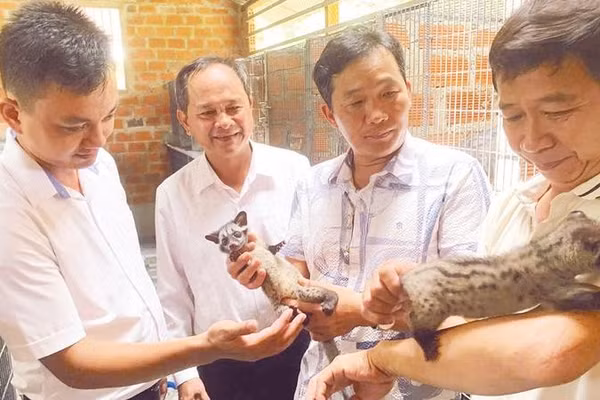 Ông Đặng Văn Tân (ngoài cùng, bên phải) giới thiệu với khách tham quan về mô hình nuôi chồn vòi hương mang lại hiệu quả kinh tế cao.
