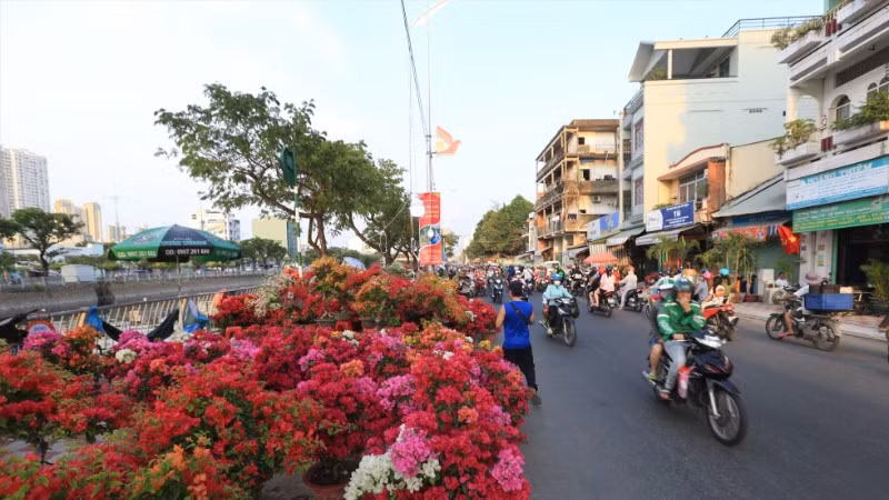 Chợ hoa Tết Bình Đông là một trong các hoạt động văn hóa truyền thống của Thành phố Hồ Chí Minh. (Ảnh: ANH TÚ)