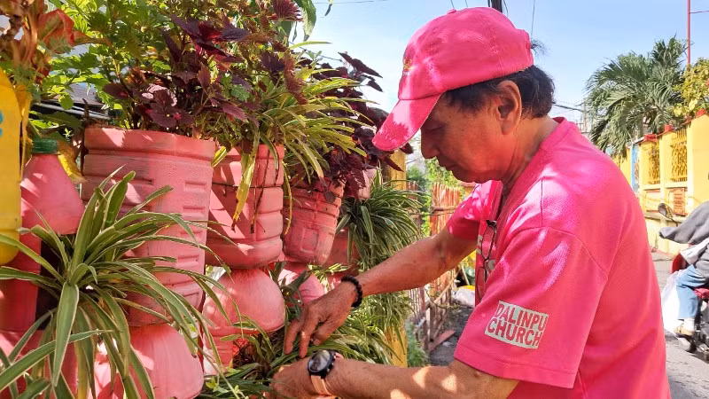 Mỗi ngày, từ 3 giờ sáng ông Phan Văn Chánh đã bắt đầu việc tưới nước, chăm sóc cho cả dãy cây xanh của mình (Ảnh: Thùy Dương)