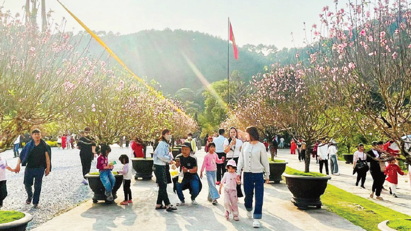 Du khách đi lễ, du xuân tại Chùa Địa Tạng Phi Lai Tự, Ninh Bình.