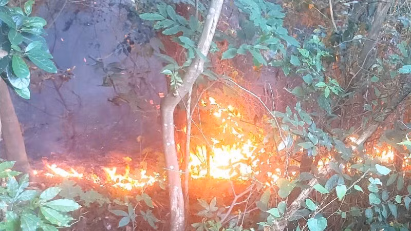 Chiều 11/8, trên khu vực đèo Ngang, xã Phú Trạch, tỉnh Quảng Trị đã xảy ra vụ cháy rừng.