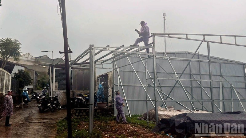 Lực lượng chức năng cưỡng chế, phá dỡ các công trình không có giấy phép xây dựng trên địa bàn phường Xuân Trường-Đà Lạt, tỉnh Lâm Đồng.