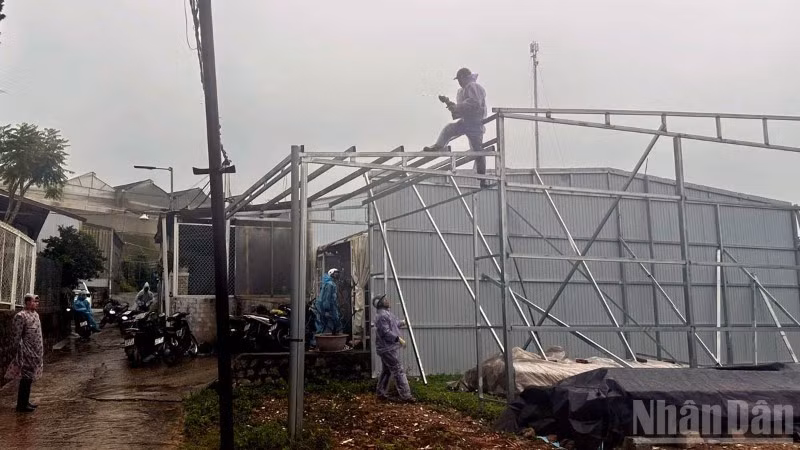 Lực lượng chức năng cưỡng chế, phá dỡ các công trình không có giấy phép xây dựng trên địa bàn phường Xuân Trường-Đà Lạt, tỉnh Lâm Đồng.