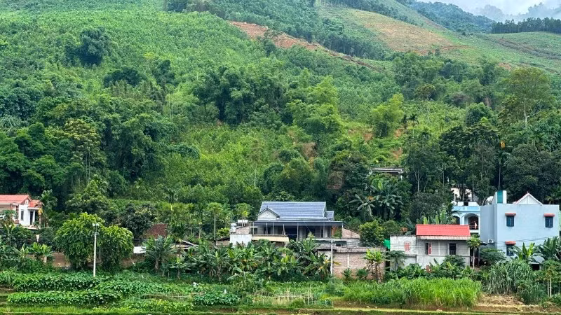 Xóm Rài, nằm trên đồi Cây Đa, xã Mường Vang, tỉnh Phú Thọ - nơi đang xảy ra nứt đồi.