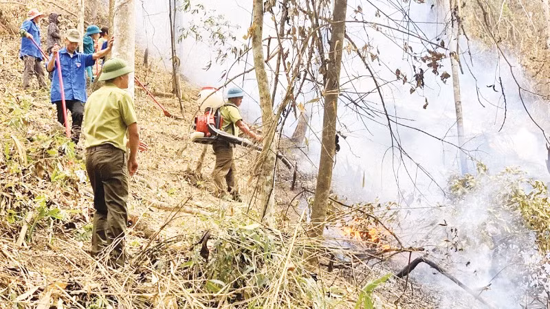 Lực lượng kiểm lâm phối hợp các cơ quan, đơn vị diễn tập phòng cháy, chữa cháy rừng tại xã Mường Pồn (tỉnh Điện Biên) (Ảnh: TRẦN THAO)