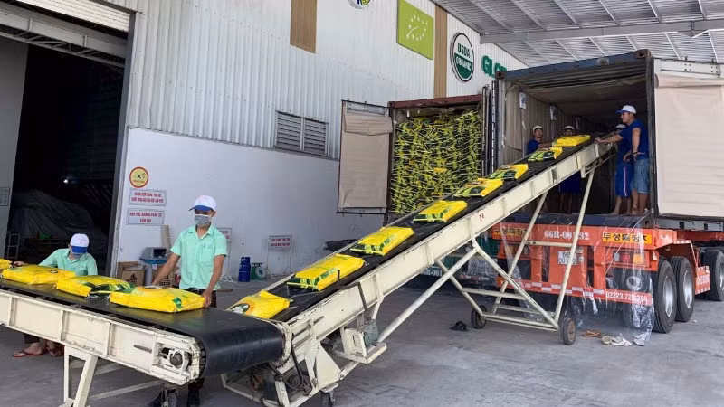 Dây chuyền đóng gói gạo xuất khẩu của Công ty cổ phần Nông nghiệp công nghệ cao Trung An, thành phố Cần Thơ. (Ảnh: MINH ANH)