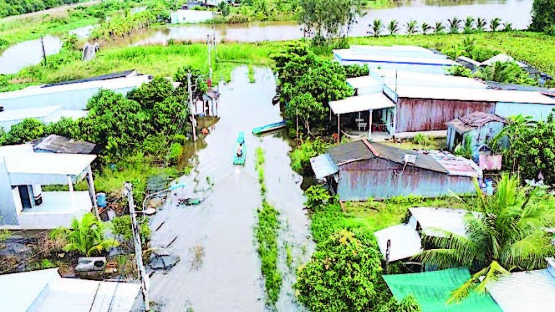 Một góc khu tái định cư Kênh Tư (ấp Lung Tràm, xã Khánh Hưng) bị ngập úng.