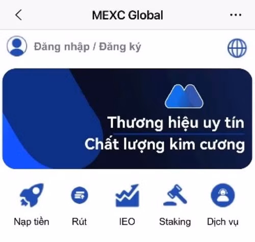 Trang web chị T. tham gia đầu tư và bị chiếm đoạt tài sản.