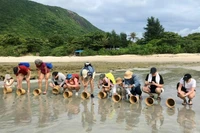 Du du lịch trải nghiệm thả Rùa con về biển tại Vườn Quốc gia Côn Đảo.