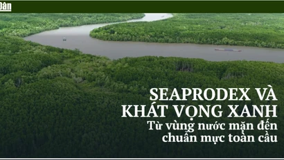 Seaprodex và khát vọng xanh: Từ vùng nước mặn đến chuẩn mực toàn cầu