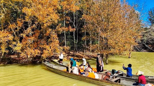 Mùa lá phong hương giữa đại ngàn