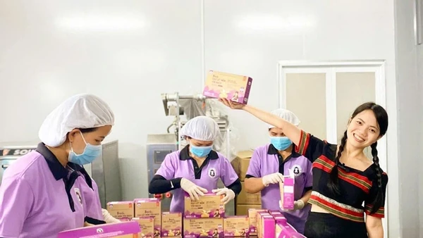 Doanh nghiệp chế biến nông sản Bh.nong của cô gái Võ Thị Minh Nga (Đà Nẵng) tạo việc làm ổn định cho 20 lao động nữ tại địa phương.