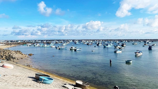 Thong dong ở Phú Quý