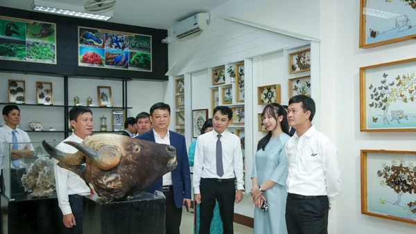 Từ rừng Trường Sơn đến đầm phá Tam Giang