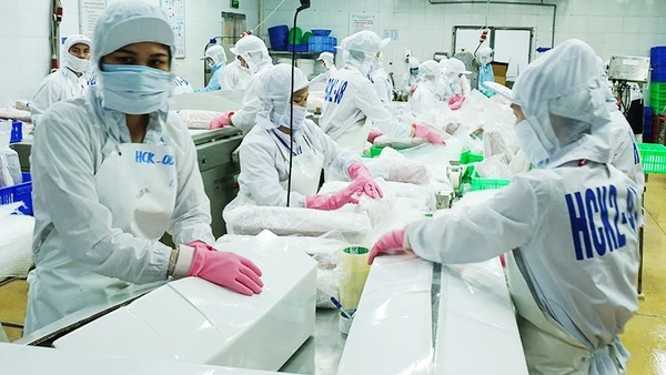 Đóng gói cá ngừ xuất khẩu tại Công ty cổ phần thủy sản Bình Định. Ảnh: Nam Anh