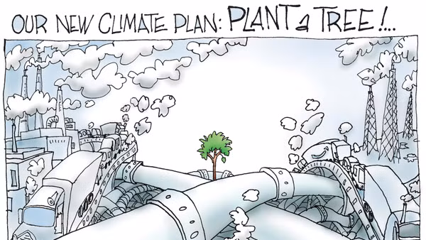 Biếm họa: SIGNE WILKINSON