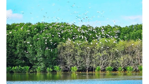 Đến nơi thiên nhiên kể chuyện