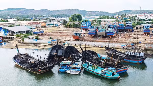 Hiện trường vụ cháy tại Cảng cá Tam Quan (Gia Lai) ngày 9/7. Ảnh: DŨNG NHÂN