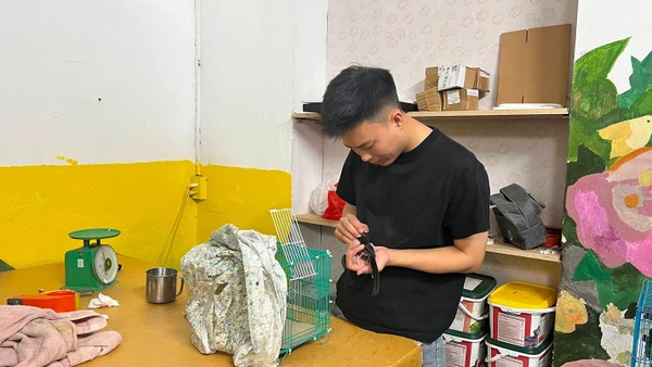 Đặng Văn Tấn khám, chữa bệnh cho các loài chim.