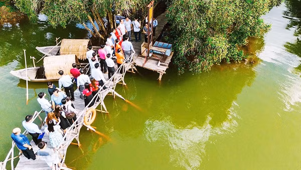 Tìm ký ức xưa giữa rừng tràm