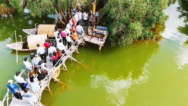 Tìm ký ức xưa giữa rừng tràm