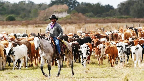 Hình ảnh cao bồi miền Tây nước Mỹ.