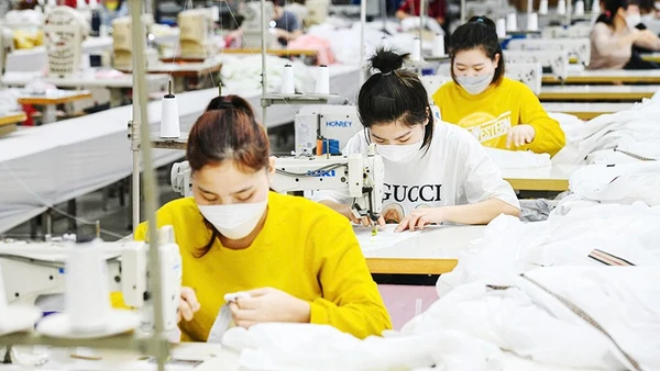 Chín tháng năm 2025, cả nước có 230 nghìn doanh nghiệp thành lập mới và quay trở lại hoạt động. Ảnh: THÀNH ĐẠT