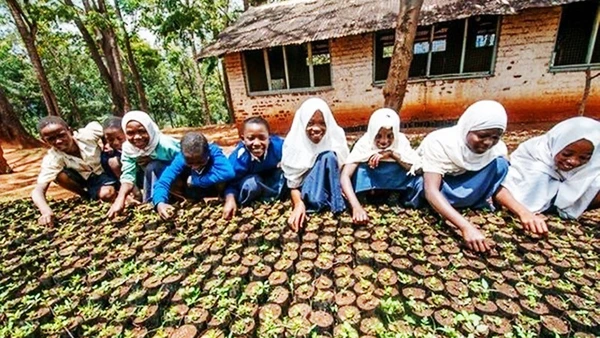 Phụ nữ tại Kono hiện kiếm thêm thu nhập bằng canh tác. Ảnh: UNITED NATIONS