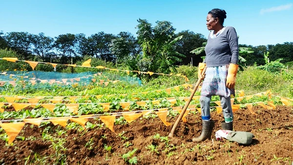 Latouche canh tác trên trang trại, Ảnh: THE GUARDIAN