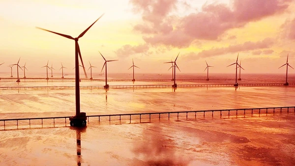 Cánh đồng điện gió tại Bạc Liêu. Ảnh: THÀNH ĐẠT