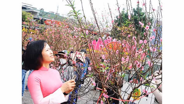 Ngày xuân ra phố mua cây