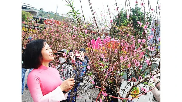 Ngày xuân ra phố mua cây