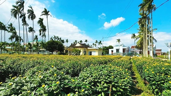 Sôi động ở một làng hoa