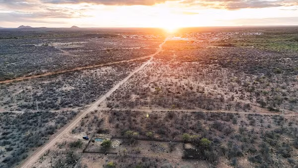 Sa mạc hóa đe dọa vùng Caatinga ở phía đông Brazil. Ảnh: IAN CHEIBUB