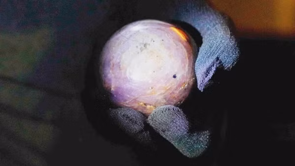 Viên sapphire tím ánh sao lớn nhất