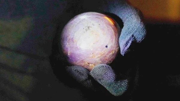 Viên sapphire tím ánh sao lớn nhất