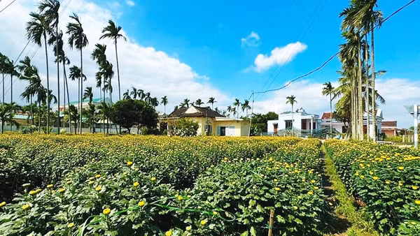 Sôi động ở một làng hoa