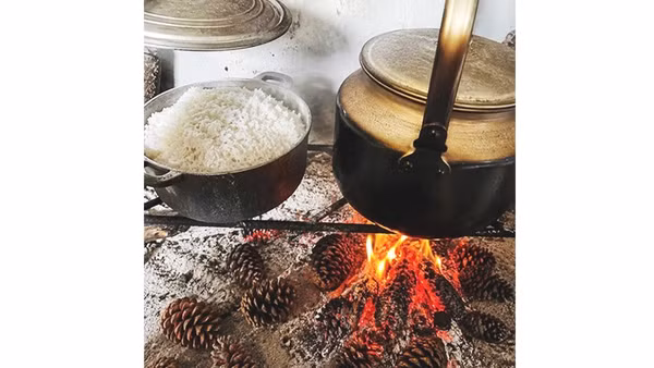 Củi thông đun bếp.