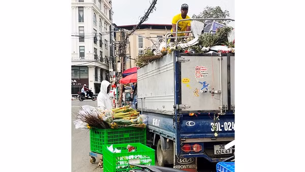 Lao động nước ngoài thường làm các công việc bốc vác, kéo xe, dọn dẹp... tại chợ hoa Quảng An.