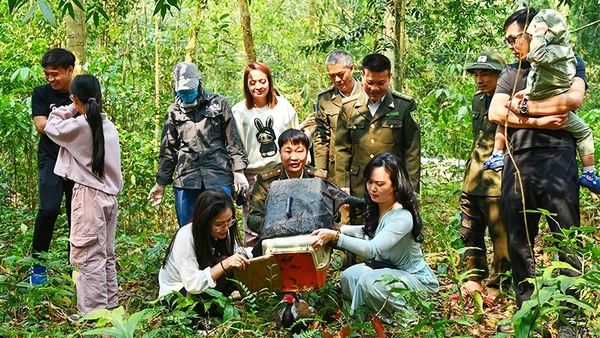 Đưa thú hoang “về nhà”