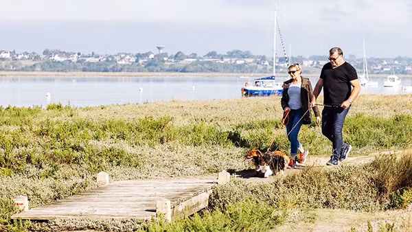 Du lịch cùng thú cưng lên ngôi tại Pháp