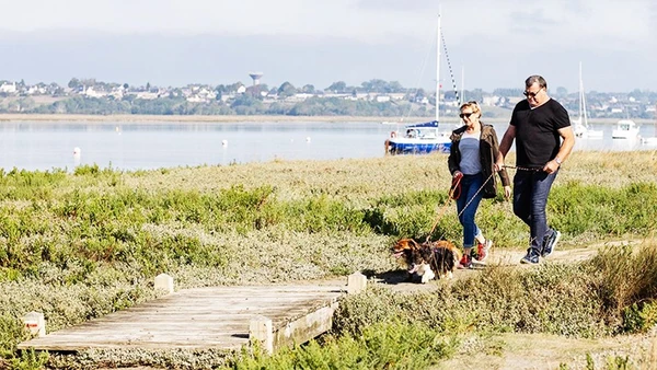 Du lịch cùng thú cưng lên ngôi tại Pháp