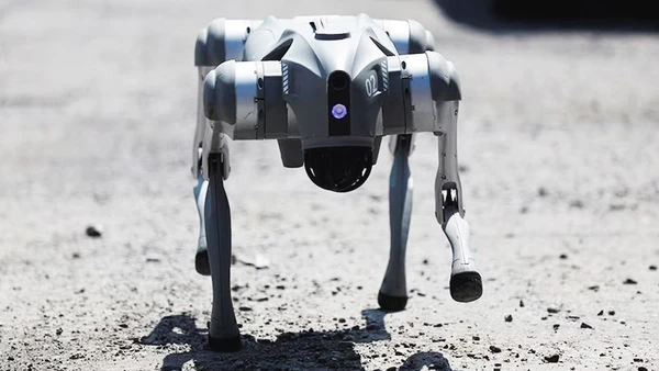 "Tuyên truyền viên robot"