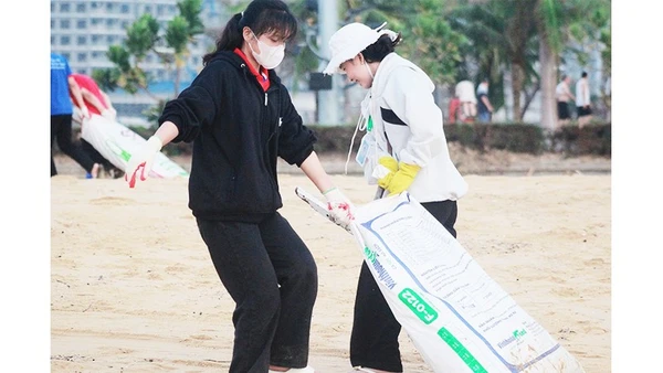 Các tình nguyện viên thu dọn rác trên bãi biển Quy Nhơn.
