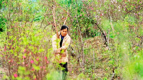 Xuân bãi bồi. Ảnh: NAM NGUYỄN