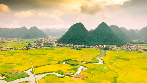 Ngắm mùa vàng giữa non xanh