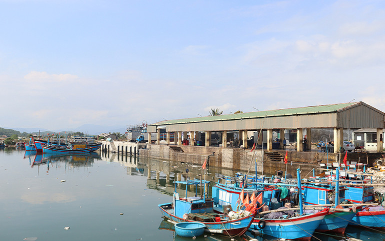 Dù đang mùa đánh bắt nhưng bến cảng Mỹ Á thưa vắng tàu cập cảng bốc dỡ hải sản.